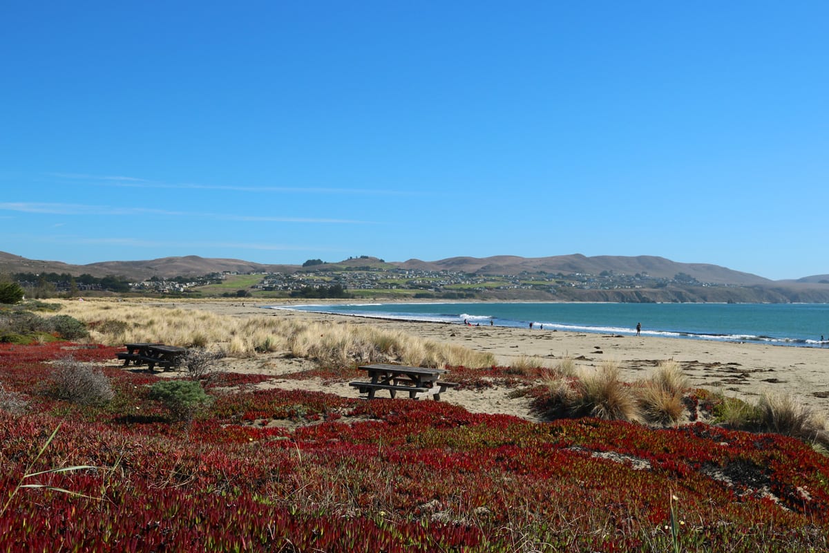 Bodega Bay