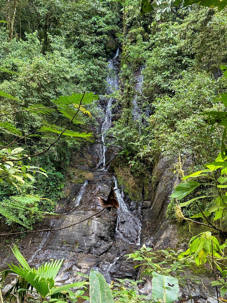 Waterfall Rainforest River Estate, Uvita, Puntarenas