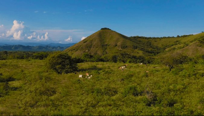 Finca Igua