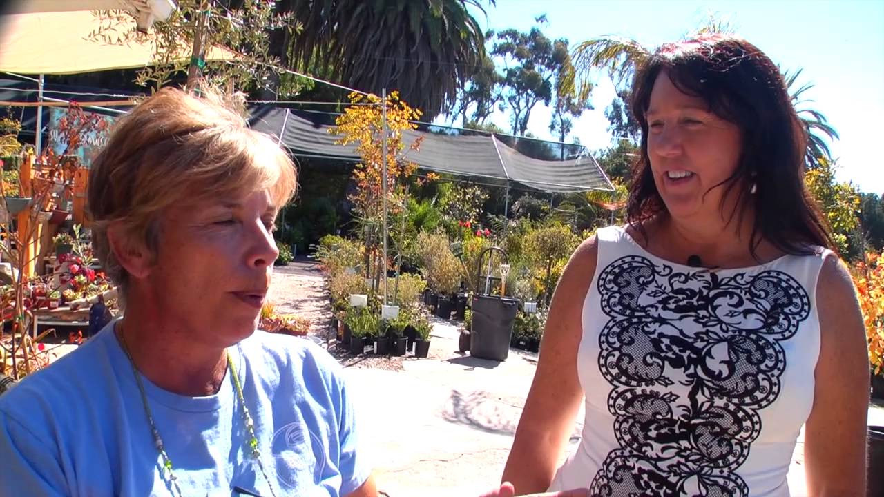 Make Yourself at Home in San Diego | Celeste Dunn - Kate Sessions Historical Botany