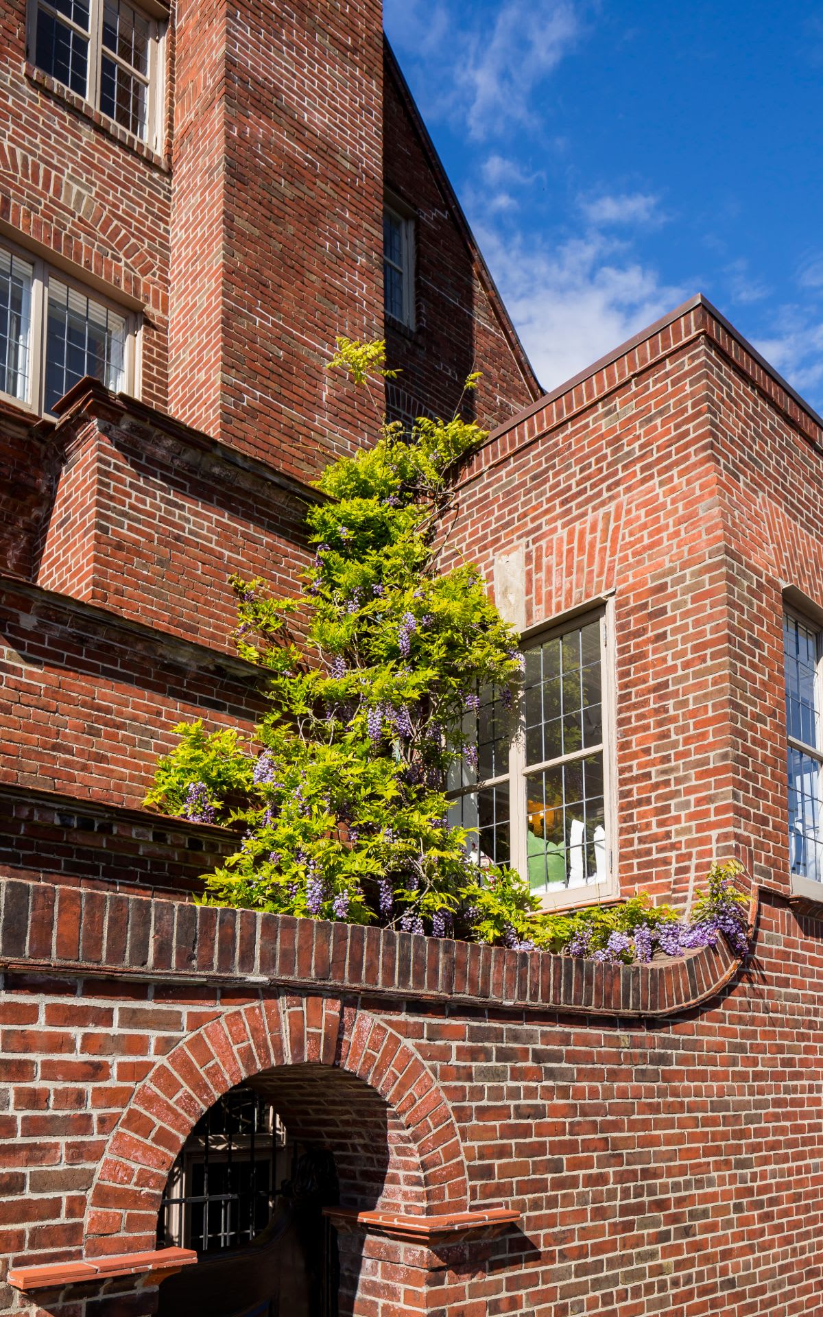 Legendary Pacific Heights Residence
