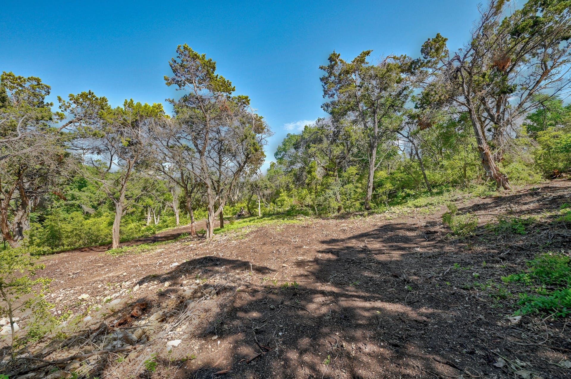 1217 Yaupon Valley Road