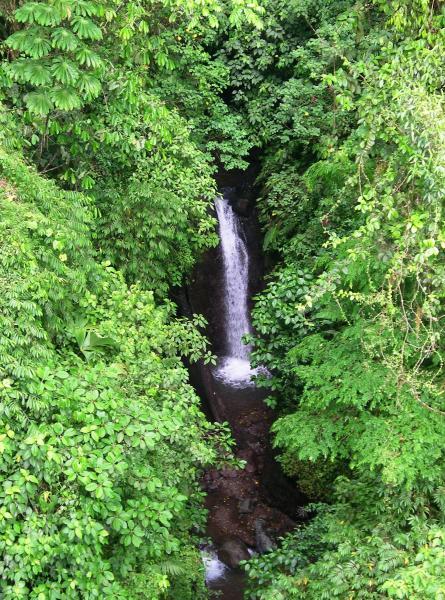 Rainforest Nature Reserve, Manuel Antonio, San Jose