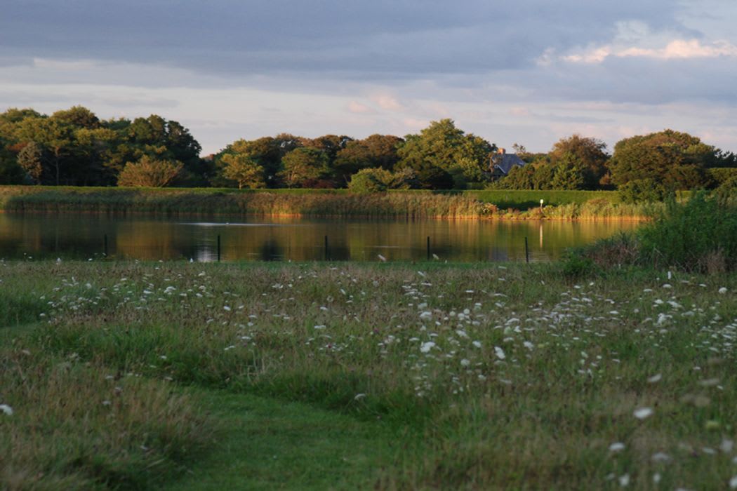 Gin Lane - On 2.5 Lakeside Acres