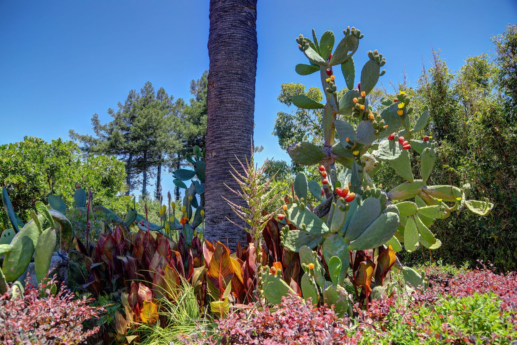 229 Upper Toyon Drive