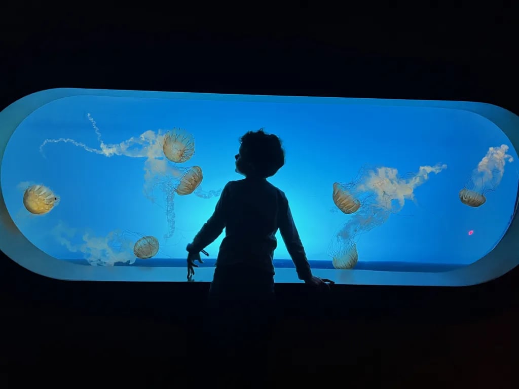 How a St. Louis nature kid became one of America’s top young conservationists