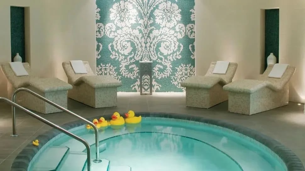 The Quintessential Luxury of Palm Beach County: A Journey Through Five Opulent Spas and Resorts