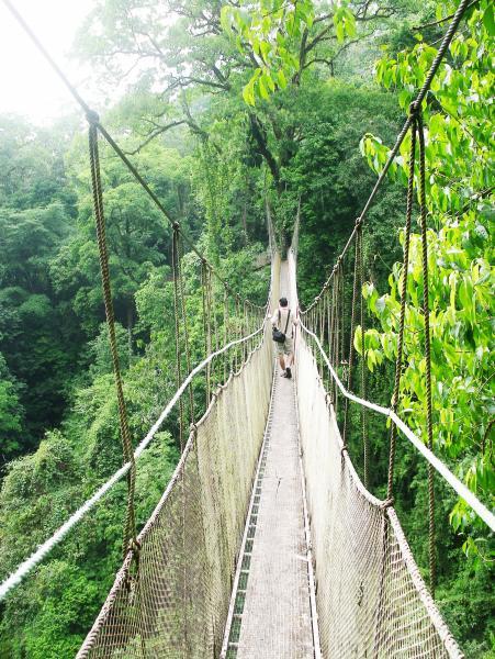 Rainforest Nature Reserve, Manuel Antonio, San Jose