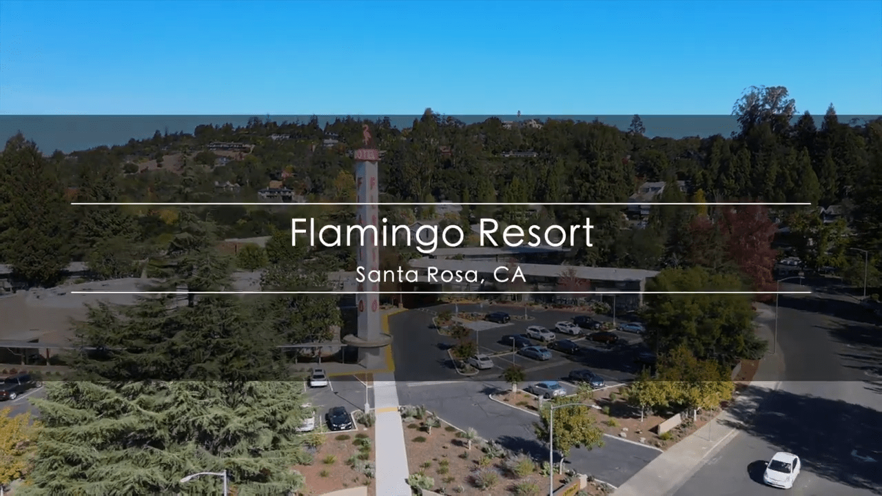 November 2022 Heath Playbook, Tyler Stewart - Flamingo Resort, Santa Rosa, CA