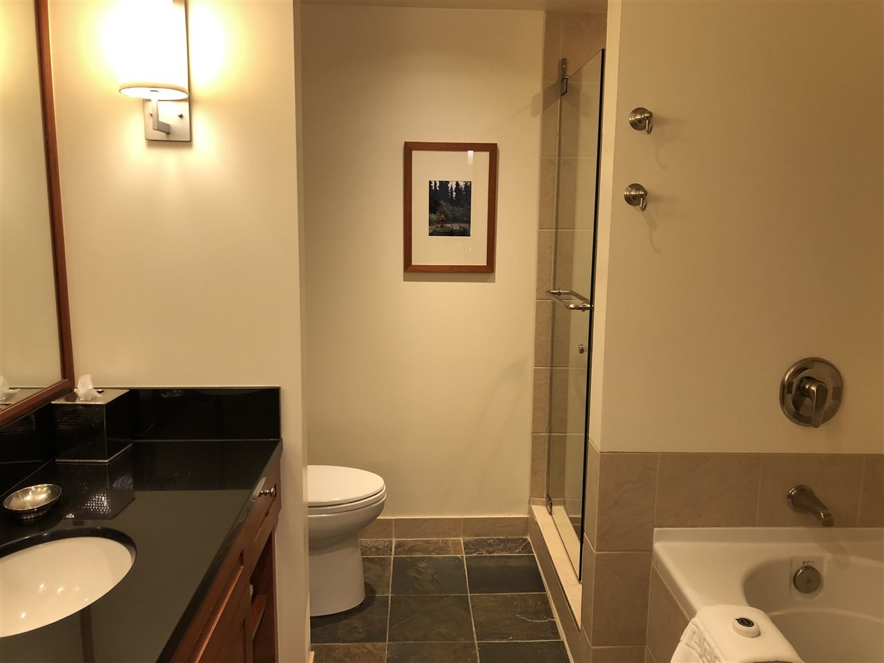 4299 Blackcomb Wy