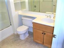 1390 Saddle Rack St #440