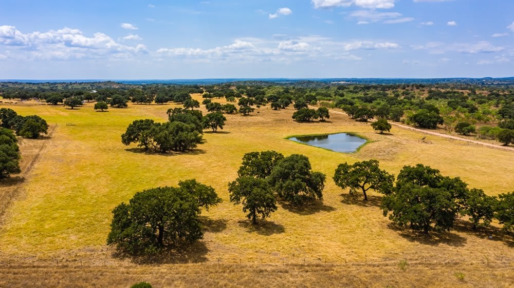 Dog Tick Ranch