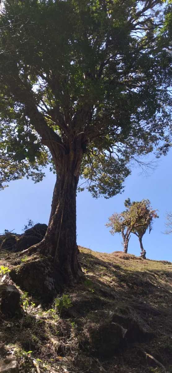Vast Mountain Farm Acreage, Heredia