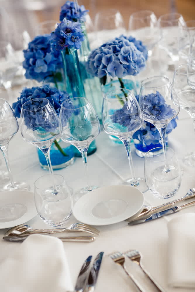 Butterfly Ball Fundraiser in San Diego