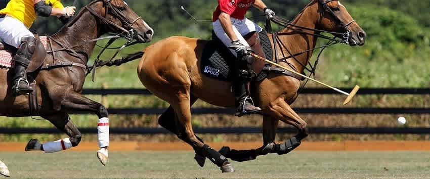 The Timeless Sport of Polo