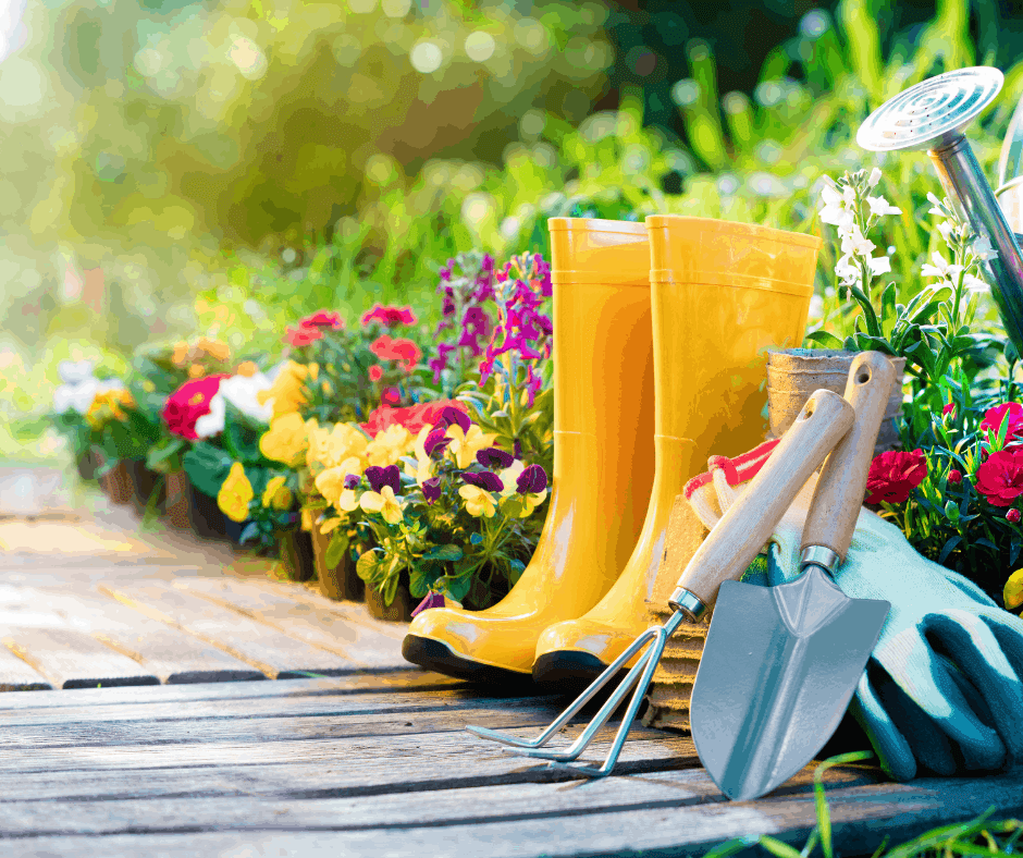 Necessary Tips For New Gardeners