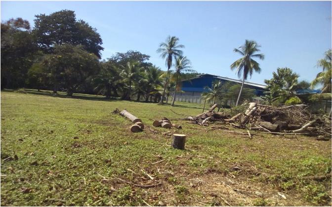 Quepos Commercial Property
