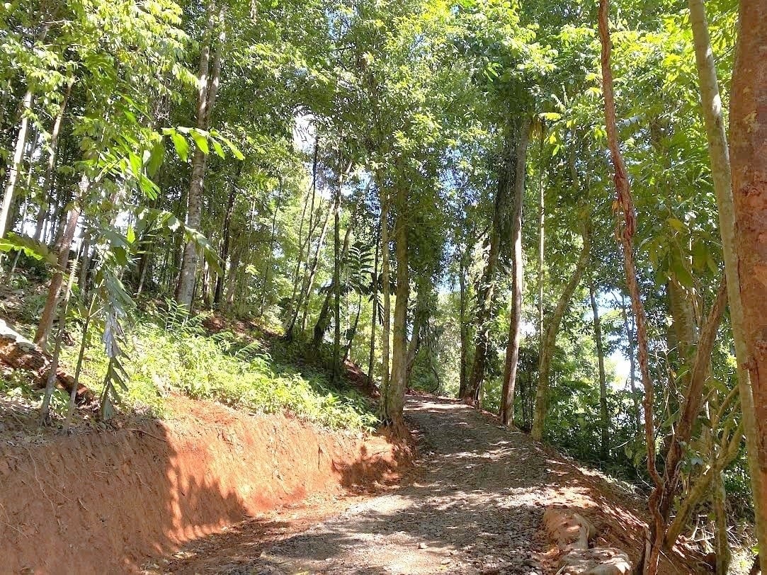 5.77 Acres With 4 Building Sites. Ocean Views, Rivers And Rainforest Abound In Cinco Ventanas! Ojochal 