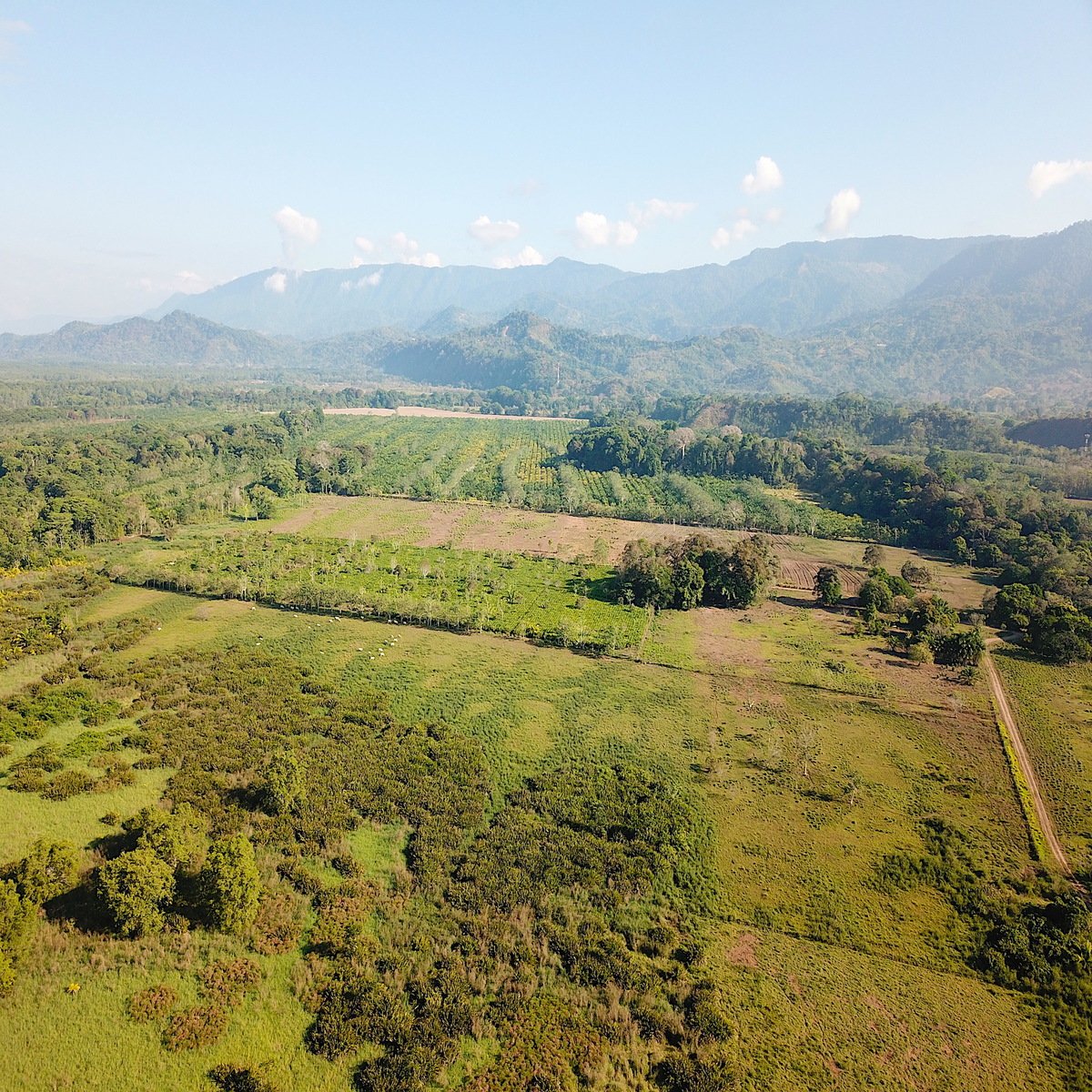 Flat Commercial Development Land, Dominical, Puntarenas