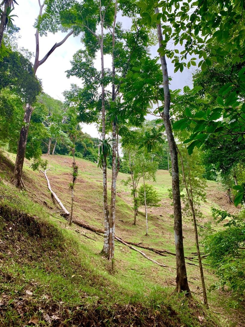 Triple Waterfall Ocean View Land, Dominical, Puntarenas