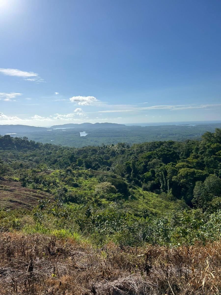 Waterfall Eco Development Land, Osa, Puntarenas