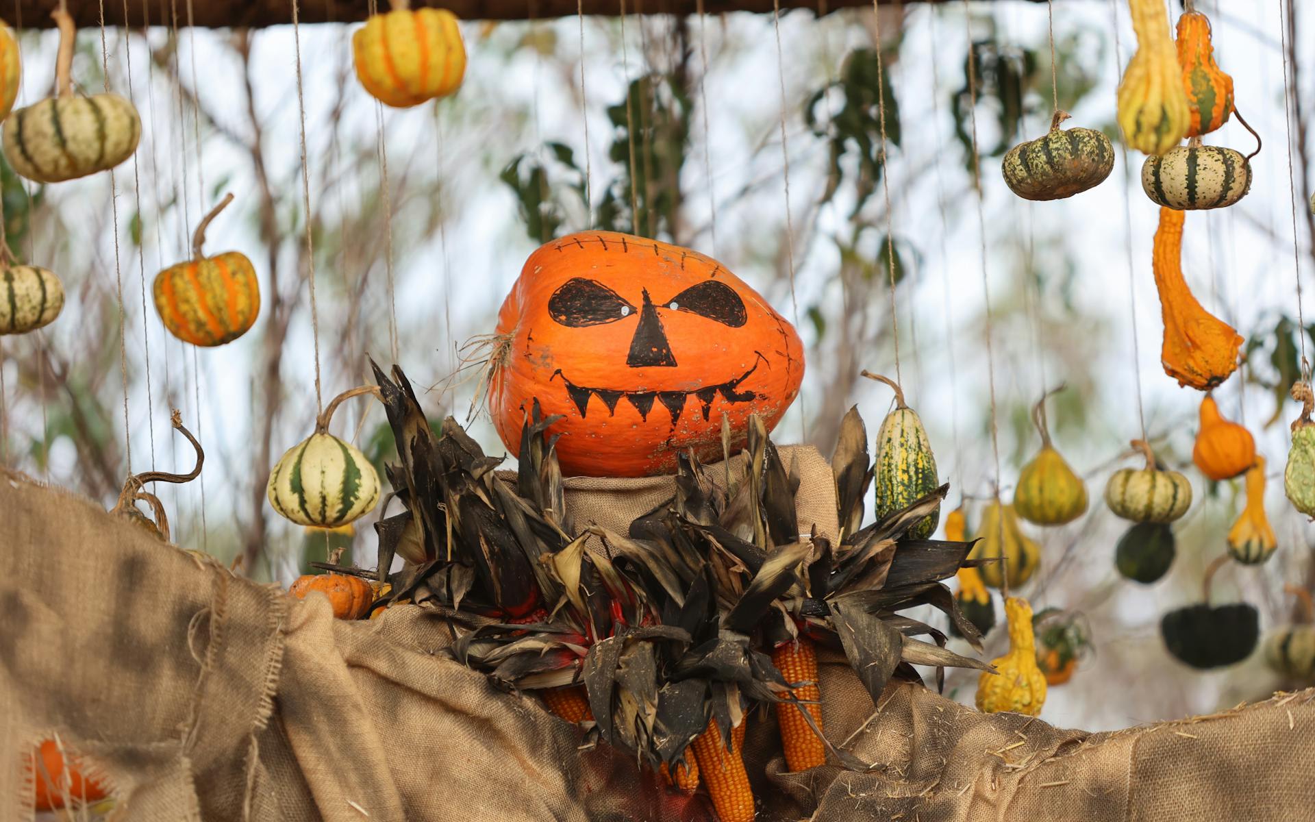 How to Carve a Pineapple This Halloween