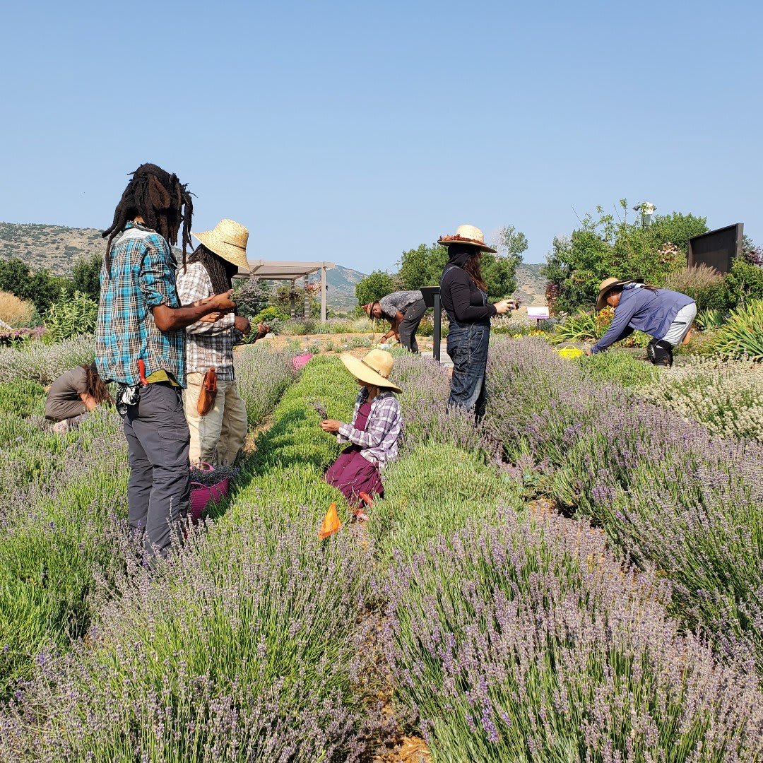 An Introduction to Urban Agriculture