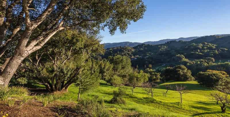 22505 Rolling Hills Road