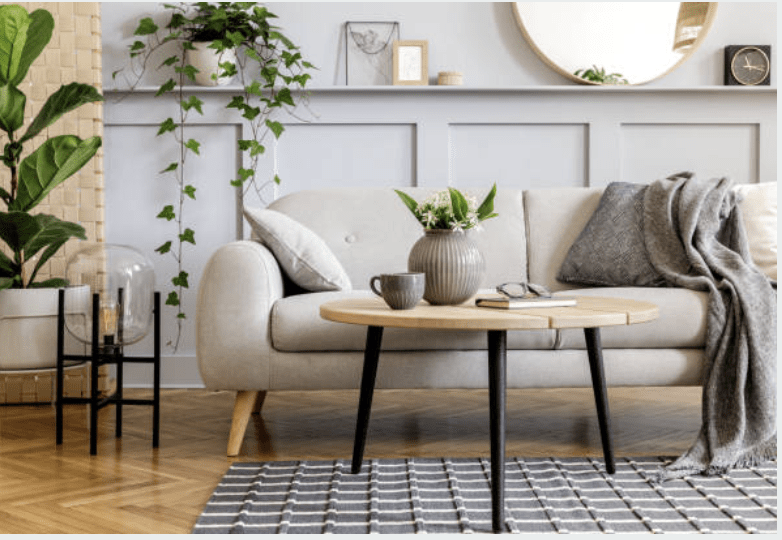 Tips for Staging with Plants