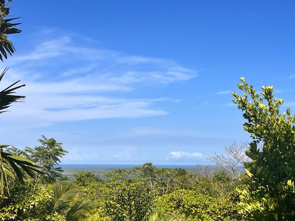 Stunning Ocean View Sanctuary Home in Chontales