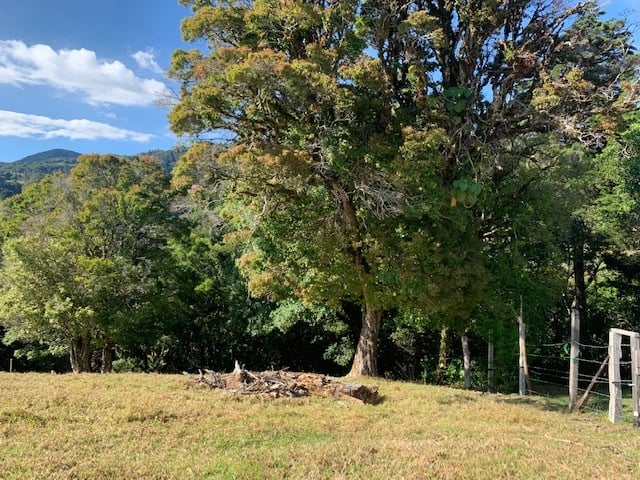 Vast Mountain Farm Acreage, Heredia