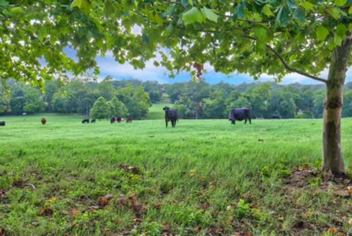 11625 FM 2447 Chappell Hill, Tx 77426