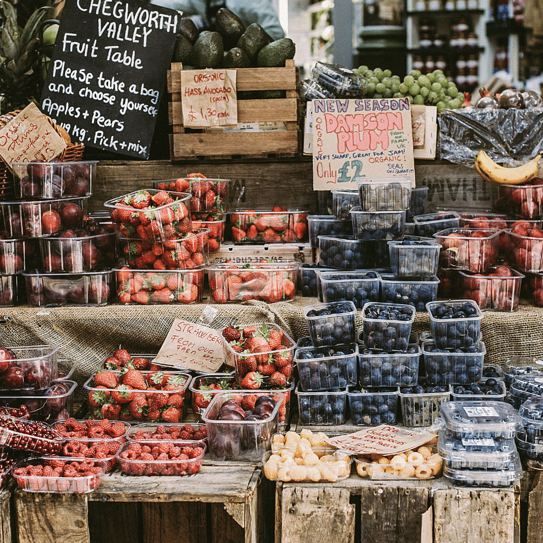 3 Ways to Spend a Sunny Day in the Bay
