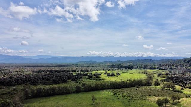 1836 Acre Farm With Streams and Primary Jungle at the Basin of Sierpe