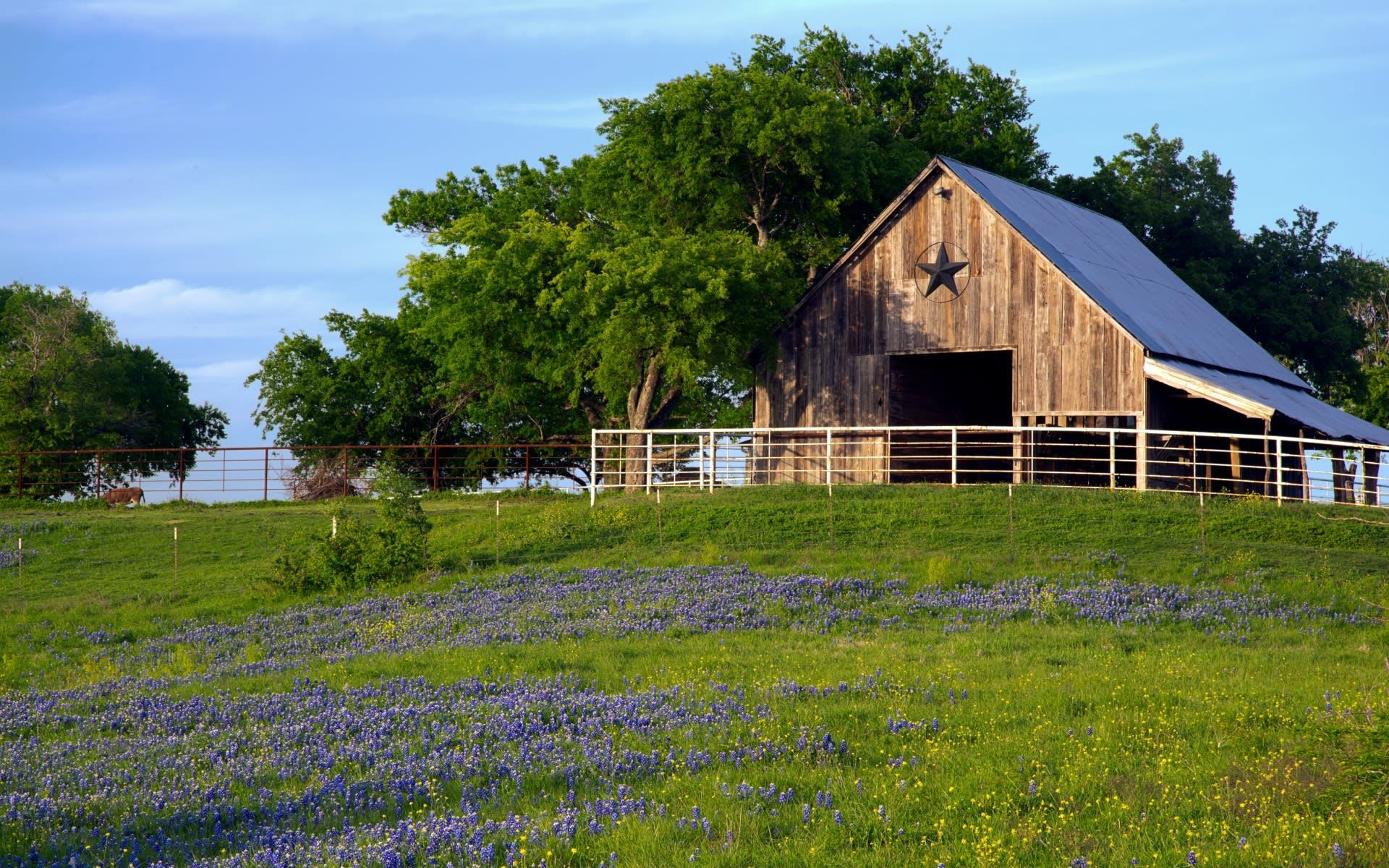 Hill Country waterfront land and water-influenced property