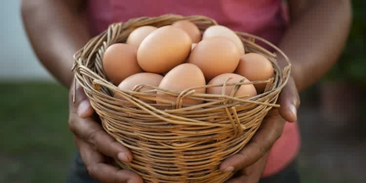 LOCAL LOVE – Summer 2021, Part 2