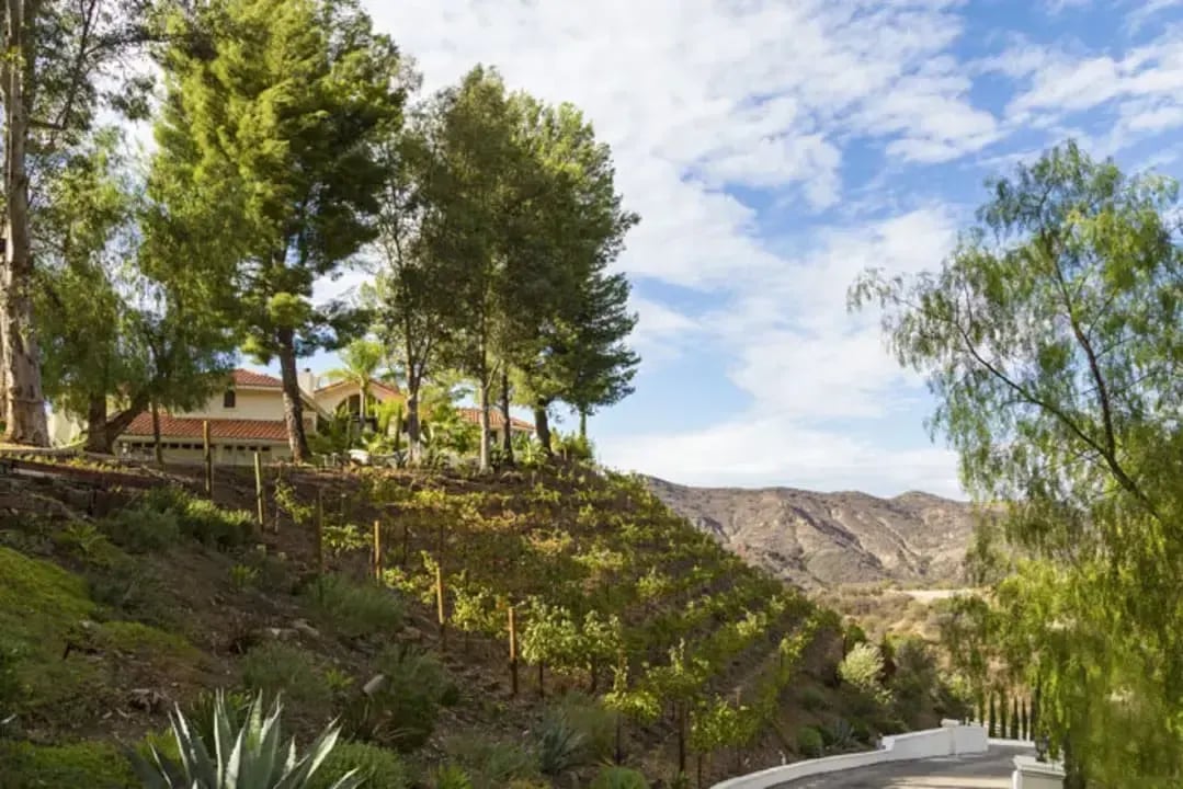 31800 Lobo Canyon Rd