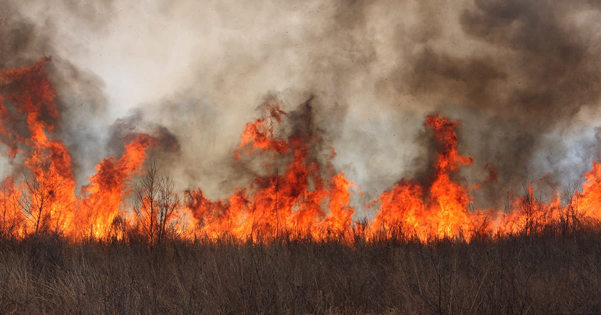 Wildfire Tips to Protect Your Santa Fe Property and Life