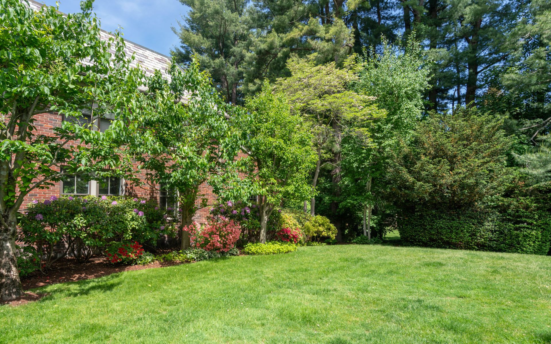 315 Waverley Avenue