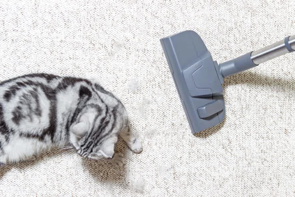 Buying and Selling with Pets