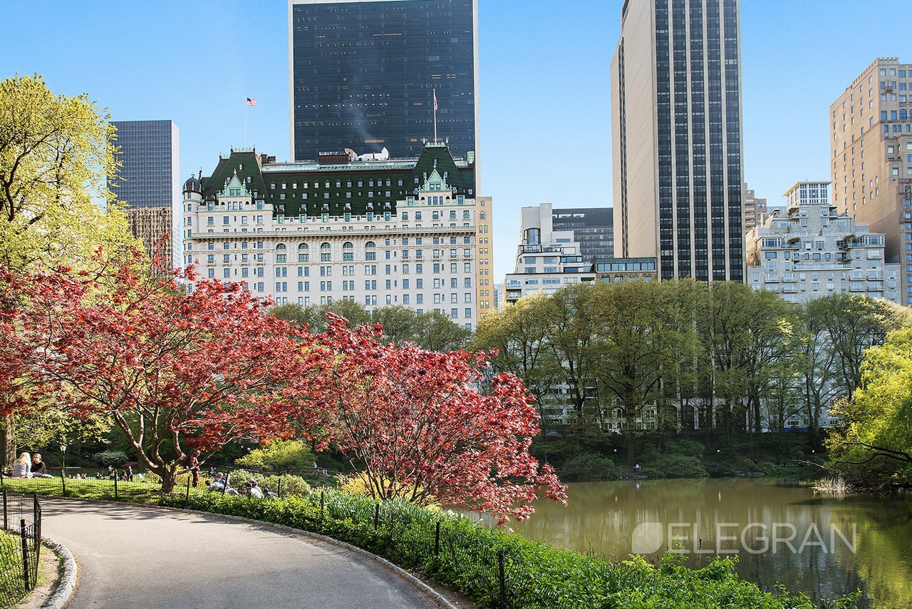 The Plaza Residences