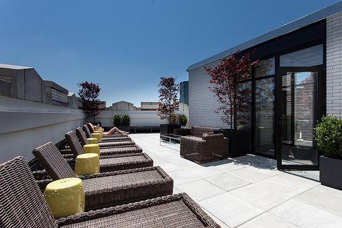 116 John Street, Apt 913