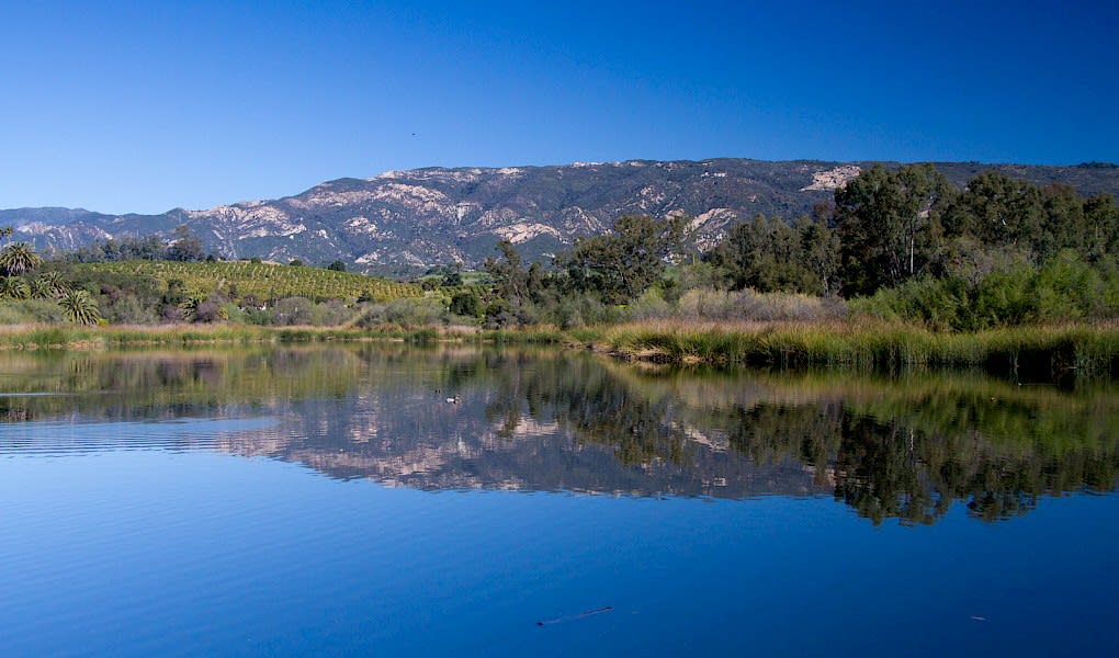 Goleta