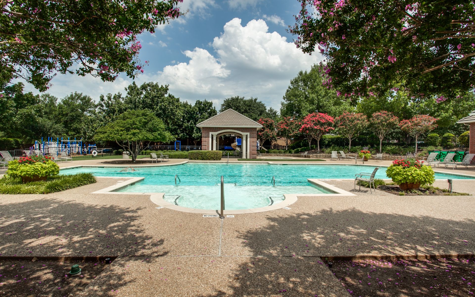 Amazing Curb Appeal in Starwood!