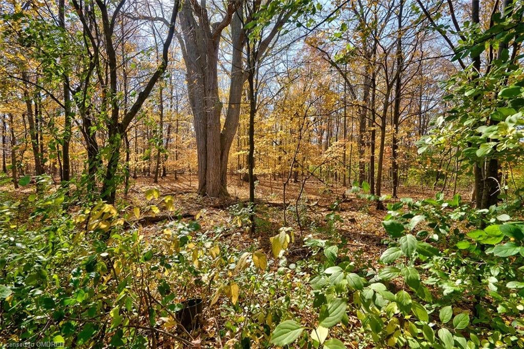 Executive home backing onto ravine