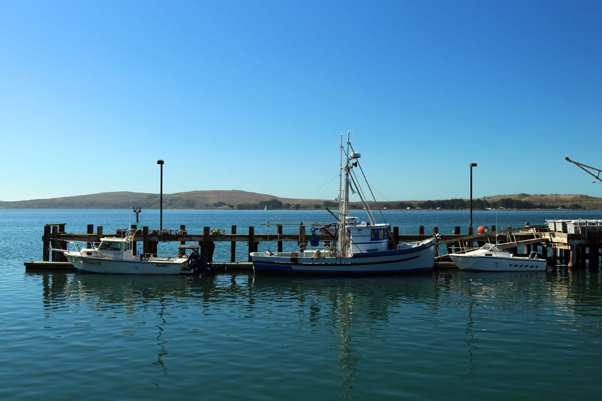 Bodega Bay