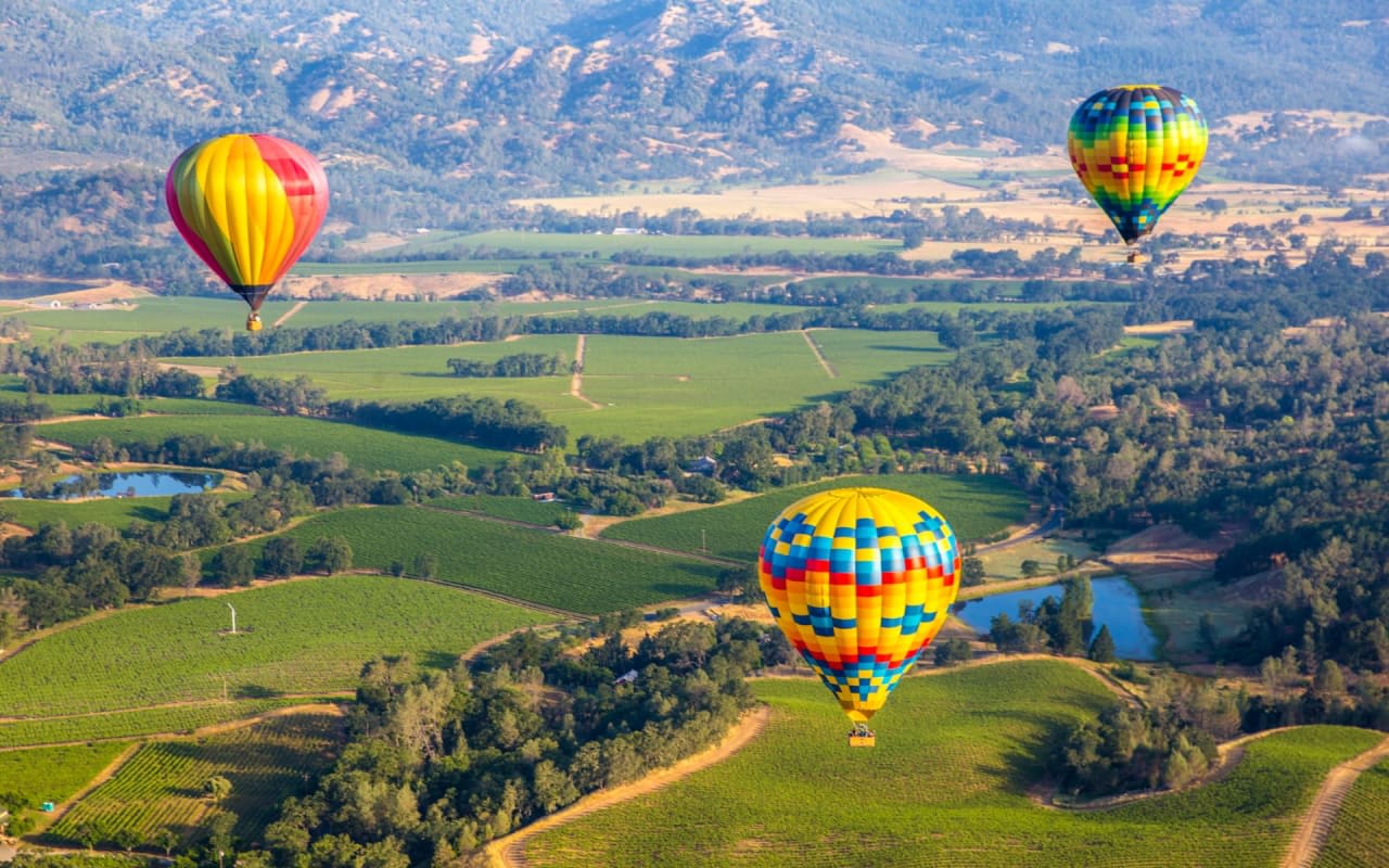 Colorful hot air balloons flying over a green valley on a sunny day. The atmosphere is happy and festive.