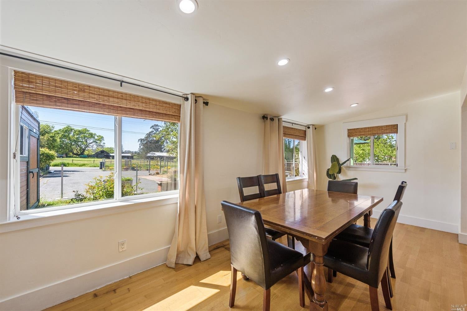 236 Cleveland Ln