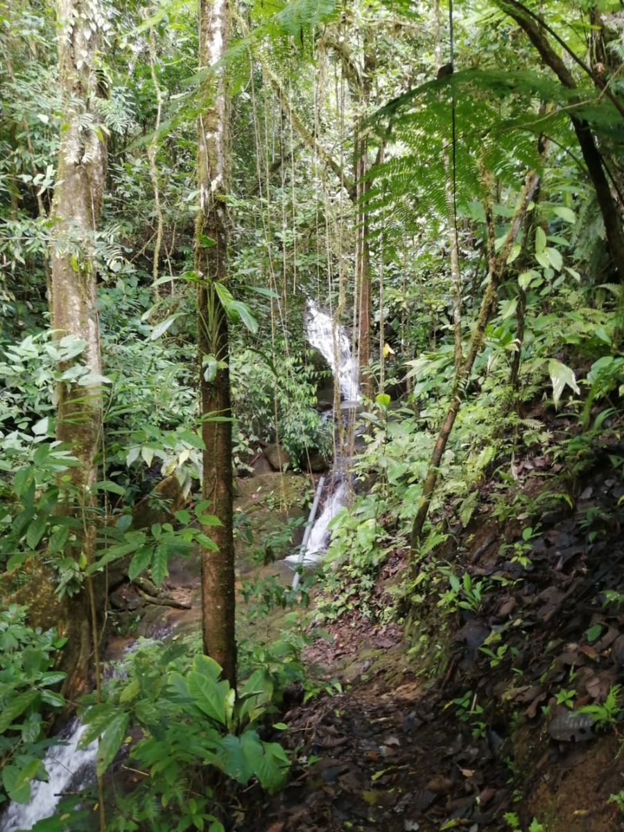 Ocean View Waterfall Land, Dominical, Puntarenas