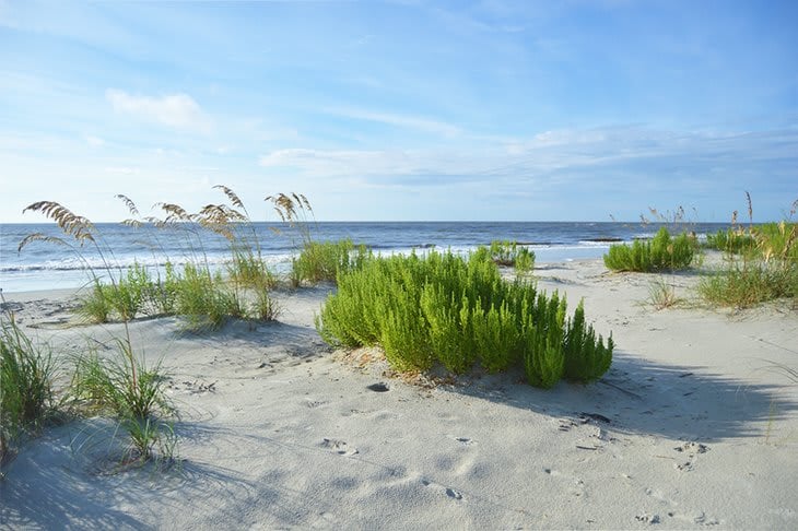 St. Simons